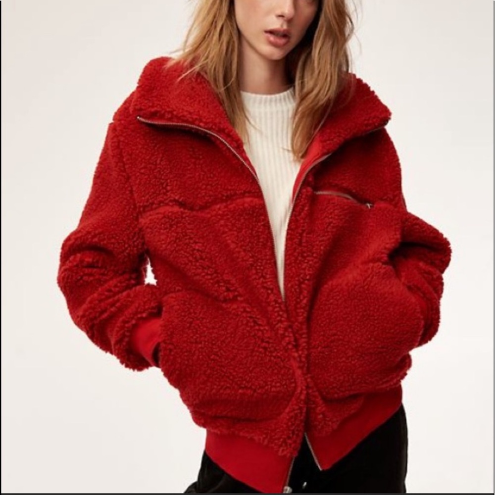 Aritzia TNA teddy coat